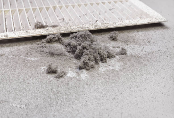 Best Ventilation Cleaning Services  in Caledonia, WI