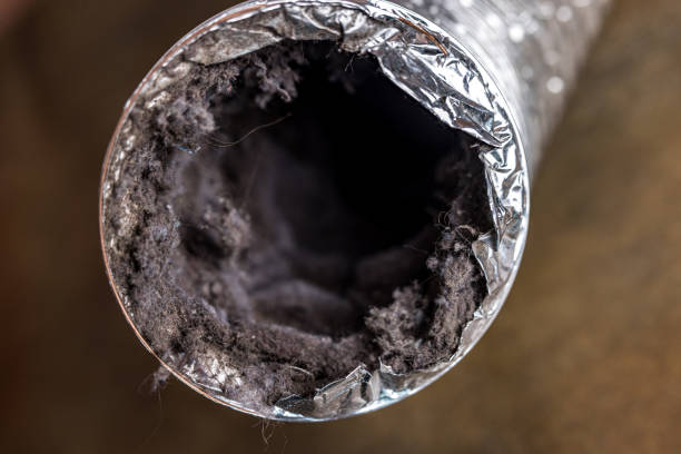 Best Professional Duct Cleaning Services  in Caledonia, WI